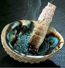 smudge-stick-in-abalone-shell