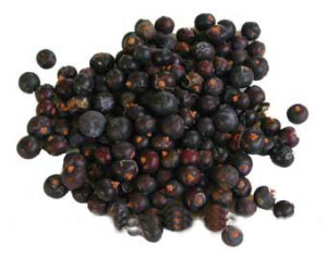 juniper_berry