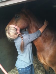 horse healing